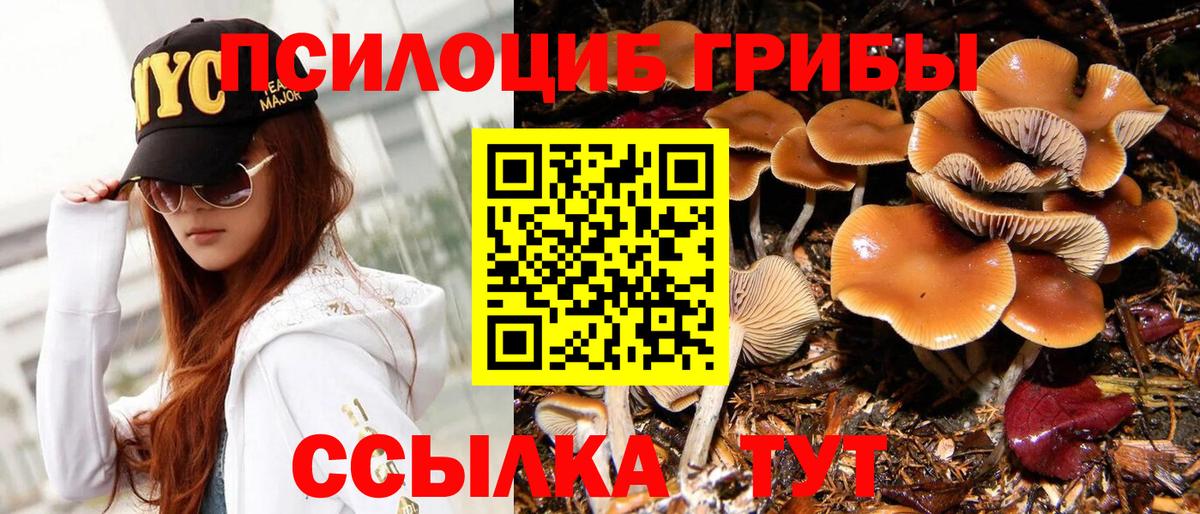 Дубна  Галлюциногенные грибы MAGIC MUSHROOMS  Вход с VPN 